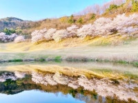 안성베네스트 골프클럽 (2026) - 경기도 안성시 가볼만한곳 - 관광지랭킹
