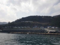 청보리 오토캠핑장 (2026) - 경상남도 통영시 가볼만한곳 - 관광지랭킹