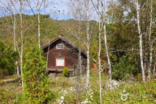 미술관 자작나무숲 - 강원특별자치도 횡성군 - 가볼만한곳 - 관광지랭킹