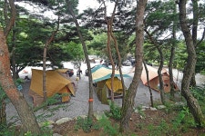 용추그린하우스 (2026) - 경상남도 함양군 가볼만한곳 - 관광지랭킹