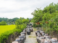 지리산태고재 (정일품농원) - 경상남도 함양군 - 가볼만한곳 - 관광지랭킹
