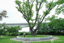경인아라뱃길 시천공원 관광 정보와 주변 관광 명소 및 근처 맛집 여행 정보