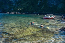 Foto aus Naver-Suchergebnissen 2
