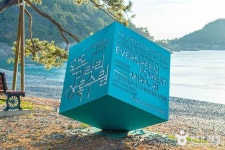 완도 미라리 상록수림 (2026) - 전라남도 완도군 가볼만한곳 - 관광지랭킹