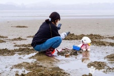 병술만어촌체험마을 관광 정보와 주변 관광 명소 및 근처 맛집 여행 정보