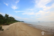 추포해수욕장 - 캠프위크
