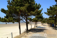 밧개해수욕장 - 캠프위크