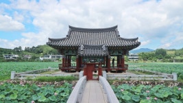청도 프로방스 빛축제와 함께하는 세계 명화 100선 2019 - 경상북도 청도군 - 가볼만한곳 - 관광지랭킹