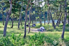 드들강솔밭유원지 - 전라남도 나주시 - 가볼만한곳 - 관광지랭킹