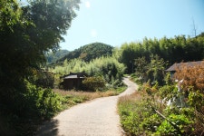 지리산둘레길 11코스 하동호~삼화실 - 경상남도 하동군 - 가볼만한곳 - 관광지랭킹