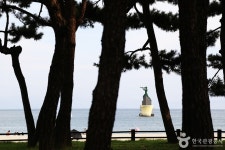 송림공원 - 부산광역시 해운대구 - 가볼만한곳 - 관광지랭킹