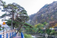남천계곡 (2026) - 충청북도 단양군 가볼만한곳 - 관광지랭킹