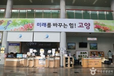 고양어울림누리 얼음마루 레저스포츠 정보와 주변 관광 명소 및 근처 맛집 여행 정보