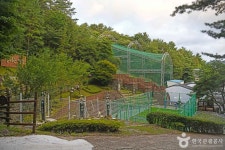 조산공원 (2026) - 충청북도 충주시 가볼만한곳 - 관광지랭킹
