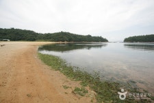 Hwangpo Beach (황포해수욕장) - Korea Tour Ranking