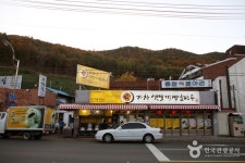 대구숲 - 대구광역시 달성군 - 가볼만한곳 - 관광지랭킹
