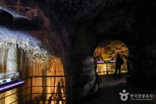 제주 세계자연유산센터 - 제주특별자치도 제주시 - 가볼만한곳 - 관광지랭킹