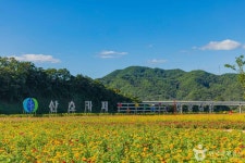 산소카페 청송정원 관광 정보와 주변 관광 명소 및 근처 맛집 여행 정보