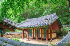 용진정사 관광 정보와 주변 관광 명소 및 근처 맛집 여행 정보