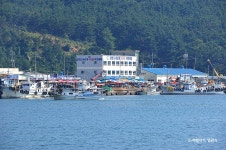 신진도 수산시장 (안흥 외항) - 충청남도 태안군 - 가볼만한곳 - 관광지랭킹