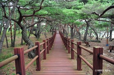 서포리웰빙삼림욕산책로 (2026) - 인천광역시 옹진군 가볼만한곳 - 관광지랭킹