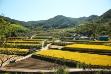 지리산둘레길 11코스 하동호~삼화실 - 경상남도 하동군 - 가볼만한곳 - 관광지랭킹