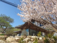 연리지 - 충청남도 계룡시 - 가볼만한곳 - 관광지랭킹