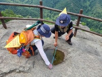 네이버 검색 결과 사진 3