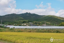 성도암(해남) - 전라남도 해남군 - 가볼만한곳 - 관광지랭킹