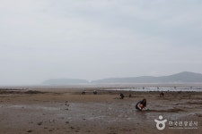 조개 캐고, 쏙 잡고, 맨손 고기잡이까지 (2026) - 경상남도 남해군 가볼만한곳 - 관광지랭킹