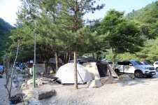 도원패밀리캠핑장 - 강원특별자치도 영월군 - 가볼만한곳 - 관광지랭킹