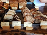 시스터필드 - 제주특별자치도 서귀포시 - 가볼만한곳 - 관광지랭킹