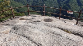 네이버 검색 결과 사진 4