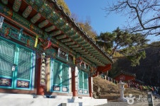 장춘사(함안) (2026) - 경상남도 함안군 가볼만한곳 - 관광지랭킹