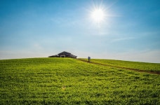천북 청보리밭 - 충청남도 보령시 - 가볼만한곳 - 관광지랭킹