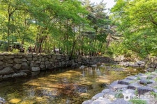 월악산국립공원 닷돈재야영장 (2026) - 충청북도 제천시 가볼만한곳 - 관광지랭킹