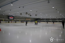 광운대학교 아이스링크 (2026) - 서울특별시 노원구 가볼만한곳 - 관광지랭킹