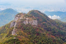 네이버 검색 결과 사진 2