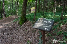 서봉산산림욕장 관광 정보와 주변 관광 명소 및 근처 맛집 여행 정보