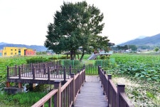 곡성군 - 전라남도 곡성군 - 가볼만한곳 - 관광지랭킹