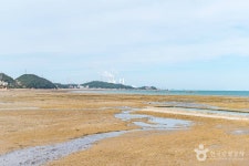 용무치항 (2026) - 충청남도 당진시 가볼만한곳 - 관광지랭킹