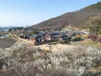 남평문씨본리세거지 (2026) - 대구광역시 달성군 가볼만한곳 - 관광지랭킹