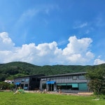 대가식당 1호점 (2026) - 경상남도 합천군 가볼만한곳 - 관광지랭킹