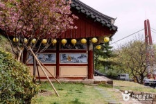 여행지 정보 < 여행정보 | 포항경주공항(국문) 여행지 정보