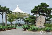 무안회산백련지 - 전라남도 무안군 - 가볼만한곳 - 관광지랭킹