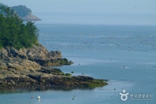 금갑해변 - 캠프위크