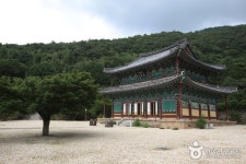 강성서원 - 전라남도 장흥군 - 가볼만한곳 - 관광지랭킹