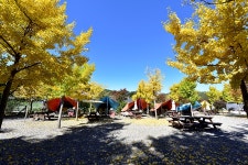 이우캠핑장 - 경기도 가평군 - 가볼만한곳 - 관광지랭킹