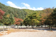 매일민박캠핑장 - 강원특별자치도 철원군 - 가볼만한곳 - 관광지랭킹