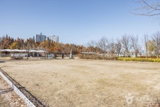 마루공원 (2026) - 서울특별시 강남구 가볼만한곳 - 관광지랭킹